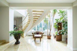 entrance-plant
