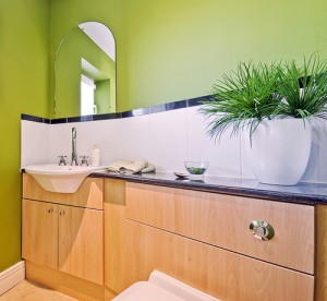 foliage-plant-toilet