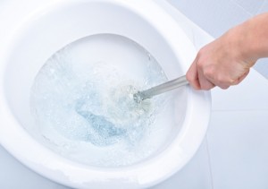 toilet