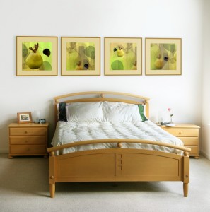bed