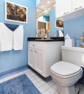 toilet-lightblue