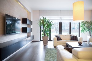 テレビの横に置かれた観葉植物