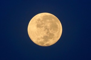 shutterstock_1144262297